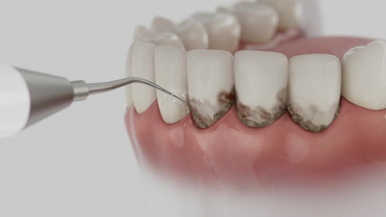Reliable Dental contractor in Millington, MI by Dentist Open Now